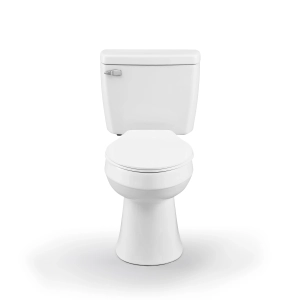 Project Source 1.28 GPF Elongated Chair Height 2-Piece Toilet