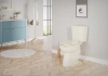 Image for Project Source Pro-Flush 2-piece Toilet