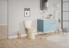 Image for Project Source Pro-Flush 2-piece Toilet