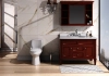 Image for Project Source Laporte Toilet