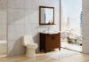 Image for Project Source Laporte Toilet