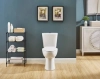 Image for Project Source Pro-Flush 2-piece Toilet