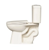 Image for Project Source Pro-Flush 2-piece Toilet