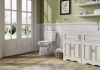 Image for Pro-Flush Eco White Round Chair height 12-in Rough-In WaterSense 0.8 GPF Single 2-piece