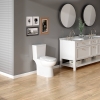 Image for Caserta White Elongated Chair height 12-in Rough-In WaterSense 1.6 GPF Dual Slow Close Feature 2-piece