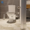 Image for Saniaccess 2