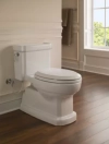 Image for Guinevere® One-Piece Toilet, 1.28 GPF, Elongated Bowl
