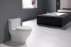Image for Legato™ One-Piece Toilet, 1.28GPF, Elongated Bowl - WASHLET®+ Connection