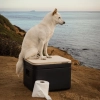 Image for Trelino® Origin S • Ultra Portable & Lightweight Toilet