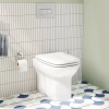 Image for S20 Floorstanding WC