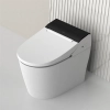 Image for Vovo Toilets TCB-8100