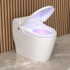 Image for Vovo Toilets TCB-8100