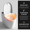 Image for Vovo Toilets TCB-8100