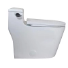 Image for WZ5081