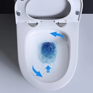 Product Image Enlarged