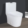 Image for WinZo WZ5079