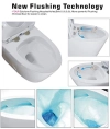 Image for WZ5081