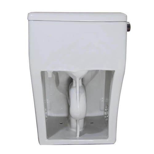 Product Image Enlarged