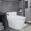 Image for WZ5081