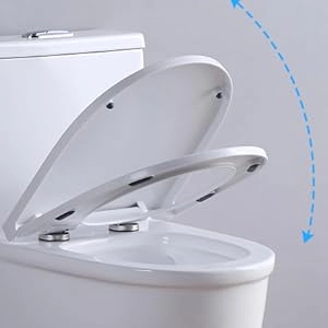 Product Image Enlarged