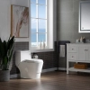 Image for WOODBRIDGE T-0042 One Piece 1.1GPF/1.6 GPF Dual Flush Elongated Toilet with Non-Electric Toilet Seat in White