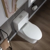 Image for WOODBRIDGE Moder Design, Elongated One piece Toilet Dual flush 1.0/1.6 GPF,with Soft Closing Seat, white, T-0032
