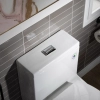 Image for WOODBRIDGE Moder Design, Elongated One piece Toilet Dual flush 1.0/1.6 GPF,with Soft Closing Seat, white, T-0032