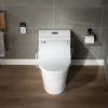 Image for WOODBRIDGE Toilet & Bidet Luxury Elongated One Piece Advanced Smart Seat with Temperature Controlled Wash Functions and Air Dryer, Toilet with Bidet. T-0737, Bidet & Toilet