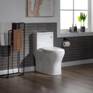 WOODBRIDGE Modern One Piece Dual Flush 1.28 GP Toilet,with Soft Closing Seat, Matte Black Button B0750-MB, White