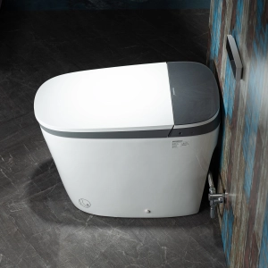 WOODBRIDGE B0930S Smart Bidet Toilet