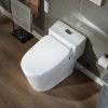 Image for WOODBRIDGE T-0047 One Piece 1.1GPF/1.6 GPF Dual Flush Elongated Toilet with Advance Smart Bidet Toilet in White