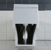 Image for WOODBRIDGE T-0019, Dual Flush Elongated One Piece Toilet with Soft Closing Seat, Chair Height, Water Sense, High-Efficiency, T-0019 Rectangle Button
