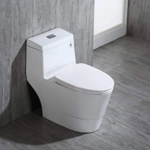 WOODBRIDGEBath T-0019, Dual Flush Elongated One Piece Toilet with Soft Closing Seat, Chair Height, Water Sense, High-Efficiency, T-0019 Rectangle Button (2 -Pack)