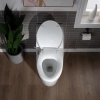 Image for WOODBRIDGE T-0042 One Piece 1.1GPF/1.6 GPF Dual Flush Elongated Toilet with Non-Electric Toilet Seat in White