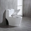 Image for WOODBRIDGE T-0019, Dual Flush Elongated One Piece Toilet with Soft Closing Seat, Chair Height, Water Sense, High-Efficiency, T-0019 Rectangle Button