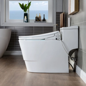 WOODBRIDGE T-0047 One Piece 1.1GPF/1.6 GPF Dual Flush Elongated Toilet with Advance Smart Bidet Toilet in White