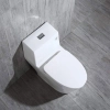 Image for WOODBRIDGE T-0019, Dual Flush Elongated One Piece Toilet with Soft Closing Seat, Chair Height, Water Sense, High-Efficiency, T-0019 Rectangle Button