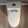 Image for WOODBRIDGEE One Piece Toilet with Soft Closing Seat, Chair Height, 1.28 GPF Dual, Water Sensed, 1000 Gram MaP Flushing Score Toilet, B0942, Biscuit