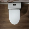 Image for WOODBRIDGE T-0047 One Piece 1.1GPF/1.6 GPF Dual Flush Elongated Toilet with Advance Smart Bidet Toilet in White