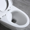 Image for WOODBRIDGE T-0019, Dual Flush Elongated One Piece Toilet with Soft Closing Seat, Chair Height, Water Sense, High-Efficiency, T-0019 Rectangle Button