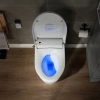 Image for WOODBRIDGE Toilet & Bidet Luxury Elongated One Piece Advanced Smart Seat with Temperature Controlled Wash Functions and Air Dryer, Toilet with Bidet. T-0737, Bidet & Toilet