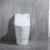 Image for WOODBRIDGE T-0019, Dual Flush Elongated One Piece Toilet with Soft Closing Seat, Chair Height, Water Sense, High-Efficiency, T-0019 Rectangle Button