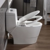 Image for WOODBRIDGE T-0042 One Piece 1.1GPF/1.6 GPF Dual Flush Elongated Toilet with Non-Electric Toilet Seat in White