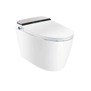 Intelligent Siphon Smart Toilet Floor Stand