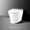 Image for Intelligent Siphon Smart Toilet Floor Stand