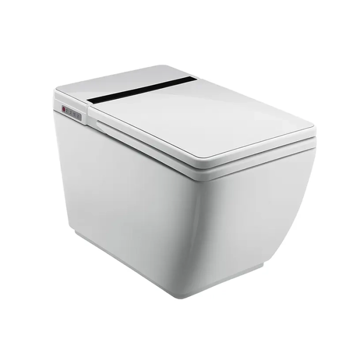 Product Image Enlarged