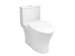 IVA One-Piece Toilet