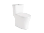 IRIS Touchless One-Piece Toilet