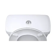 Dual Flush product type example image