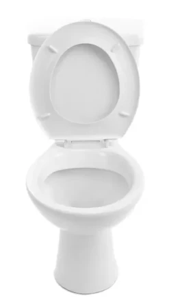 Round Seat Toilet